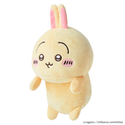 Posture Pal - CHiiKAWA Y2