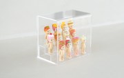 Sonny Angel Acrylic Display Case G0