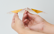 Papillon Origami Airplanes G7
