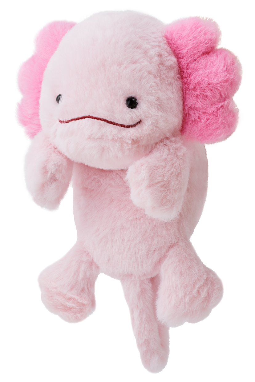 Posture Pal Q3
