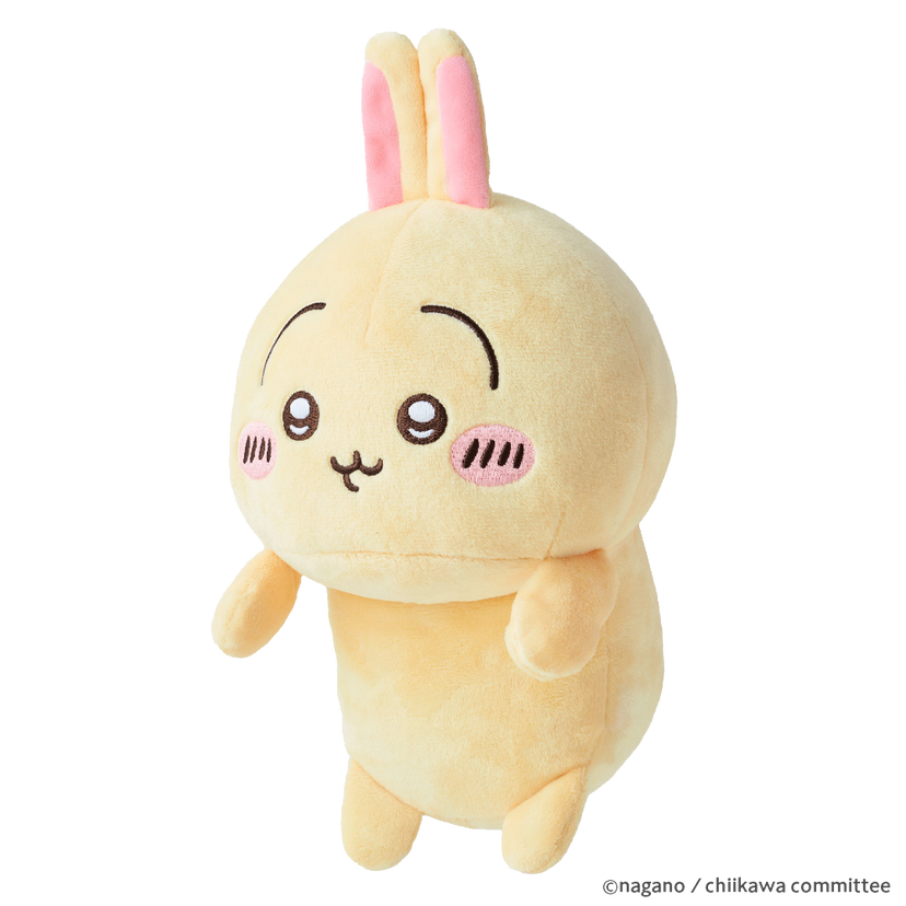 Posture Pal - CHiiKAWA Y2
