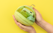 SMISKI Cushion Pouch P5