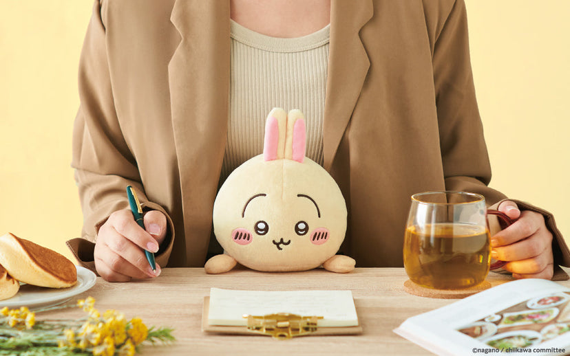 Posture Pal - CHiiKAWA Y2