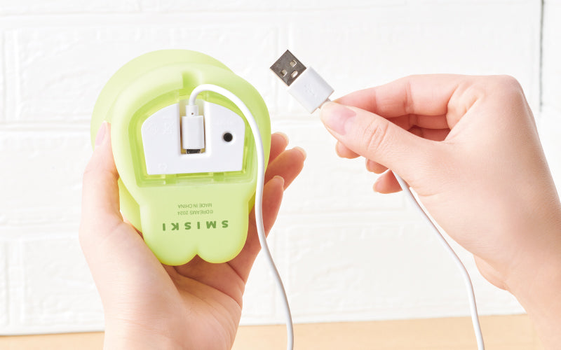 SMISKI Touch Light D3